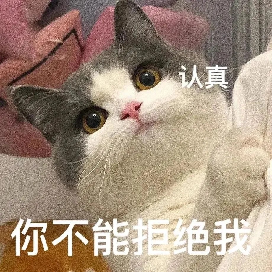 可爱的猫猫表情包第二期