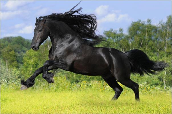 惹不起的肖马人特别是667890年的老人说的话真准