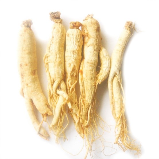 白参有什么功效