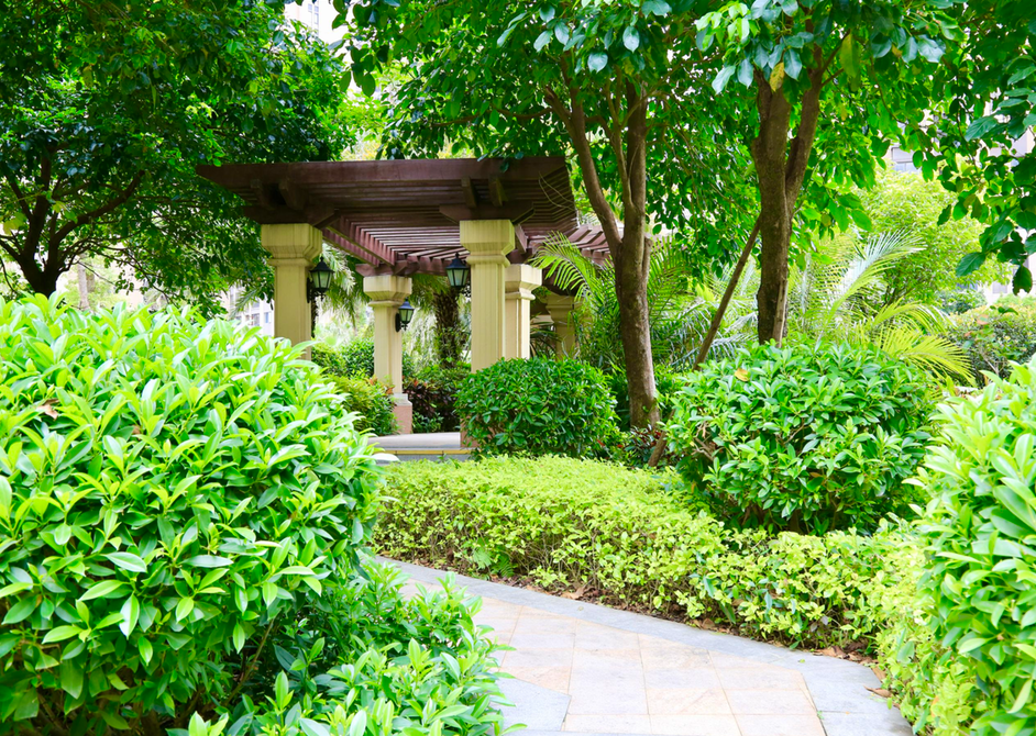 厦门20个"最干净小区"出炉!6个还是无物业小区!看到你家了吗?