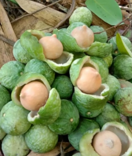 今日广南同城便民信息《11月16号》