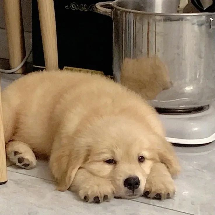 超哇塞的微信头像好喜欢