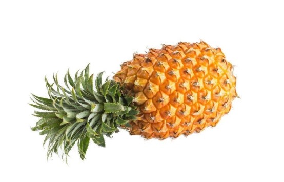 菠萝|过敏|哺乳期|孕妇