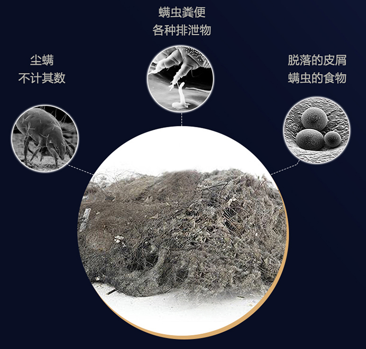 家具(例如布沙发)上,在这些环境中如果与尘螨排泄物发生了密切接触,就