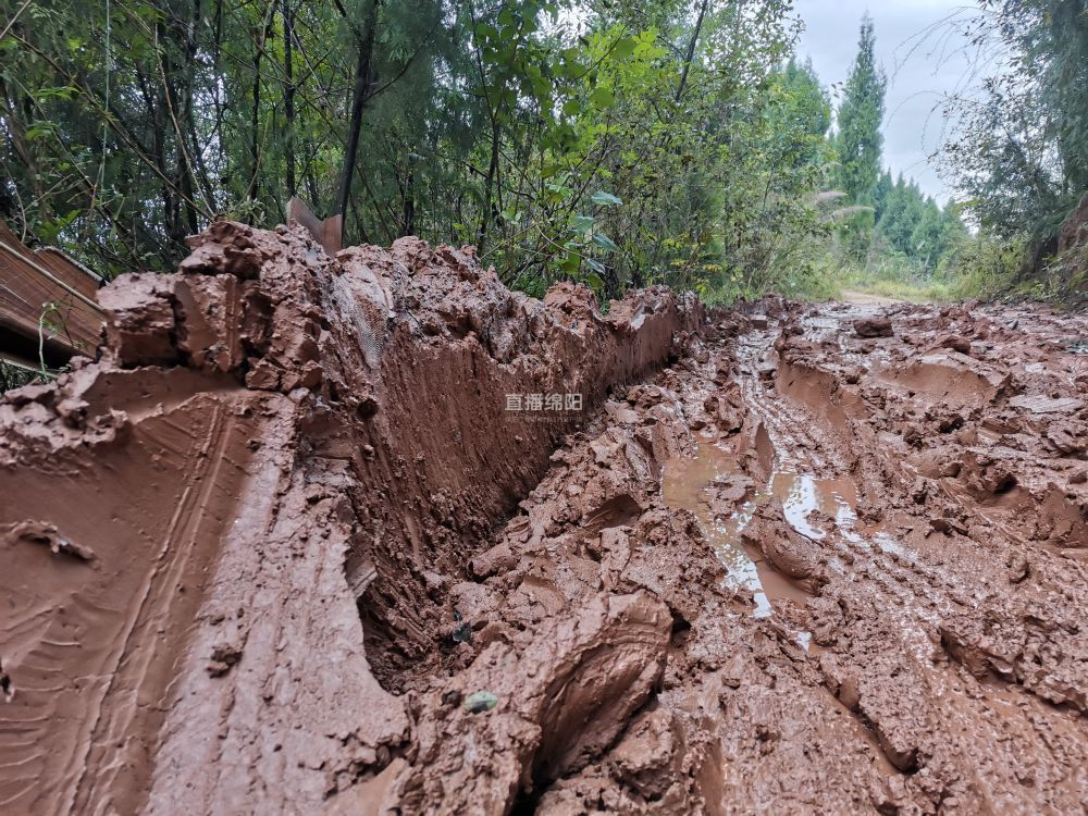 游仙交界路泥泞难行村民出行难