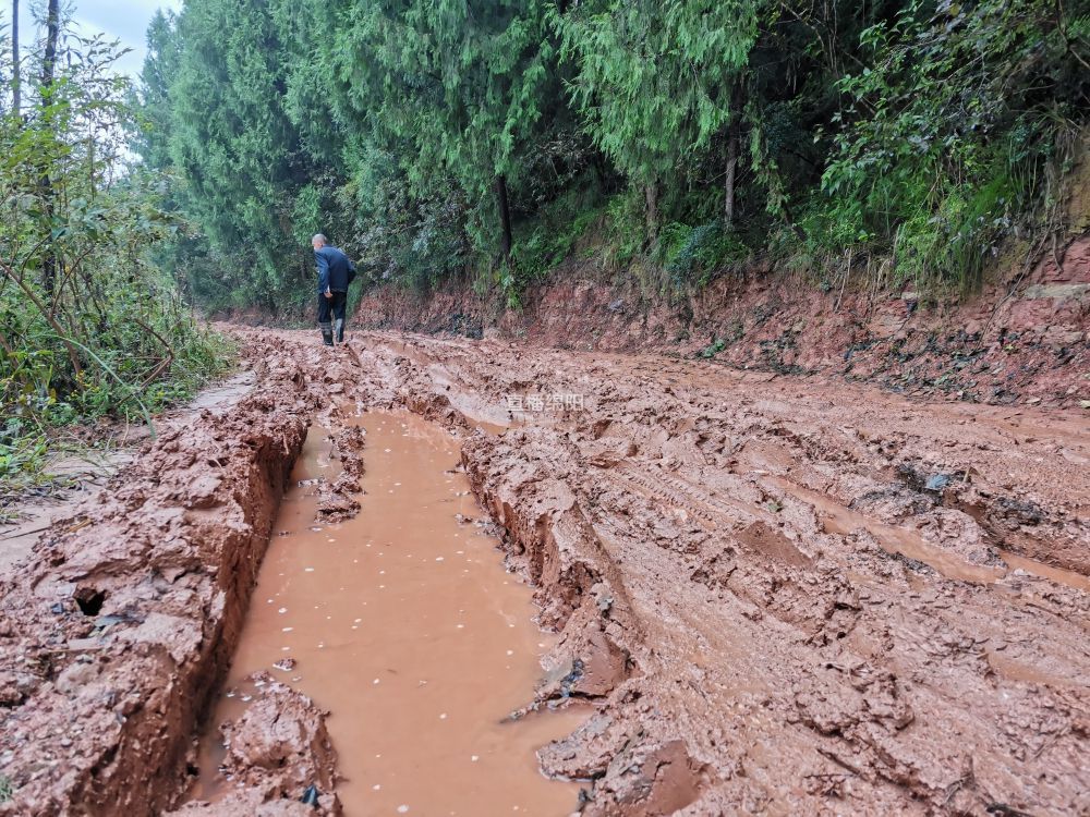 游仙交界路泥泞难行村民出行难