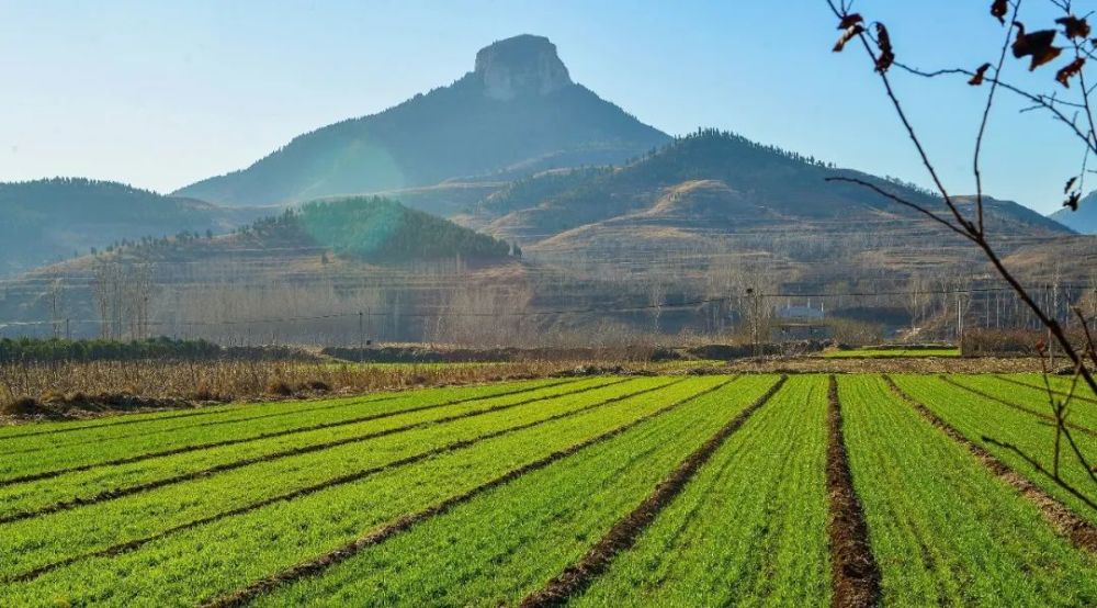 采摘乐趣外,在张夏还可以探访世界第三地质名山馒头山,亲近济南新七十