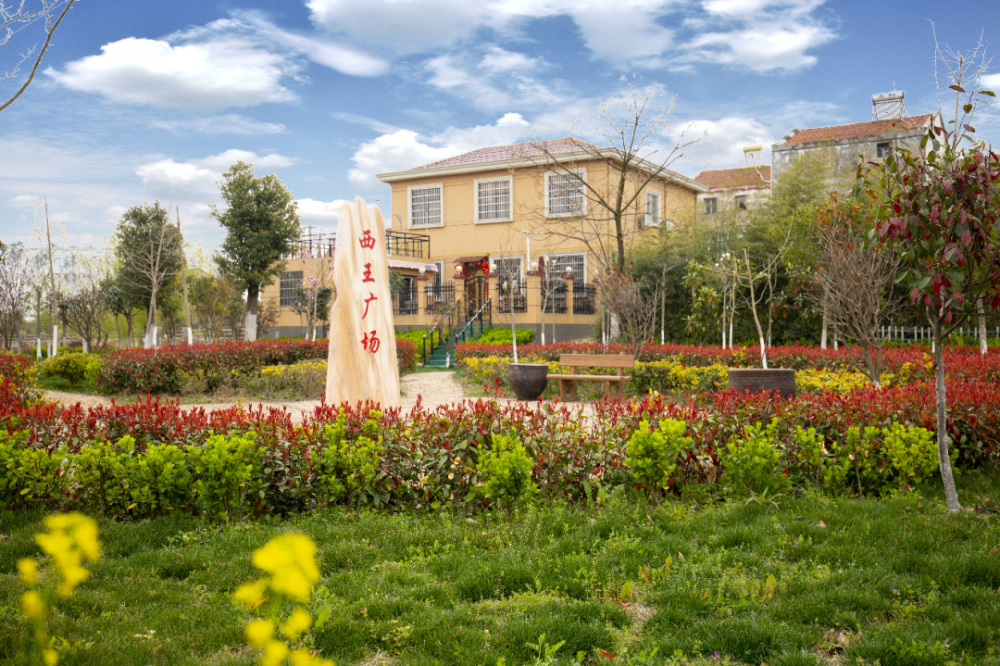 乡村振兴开新局城关镇西王村入选全国乡村治理示范村