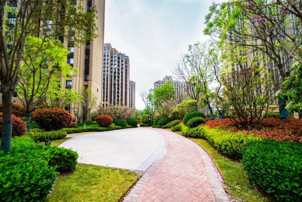 濮阳建业壹号城邦|如期交房 781户业主幸福归家_腾讯新闻