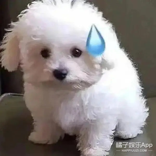 網友票選《哥哥》的無效參賽者，前三名各有槽點，張云龍高票領先香港泛民派