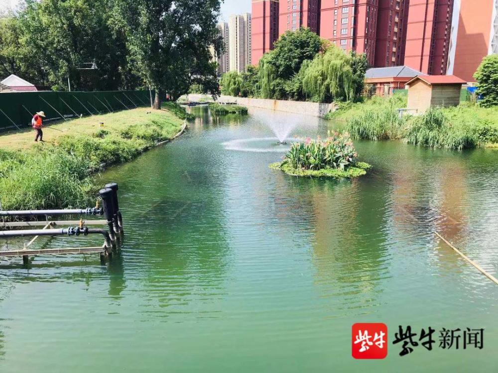 连云港海州多维度治理水环境曾经黑臭水体如成网红打卡地