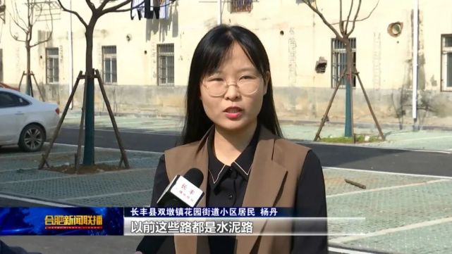 合肥小事长丰双墩老旧小区改造项目新进展来了有你关心的吗