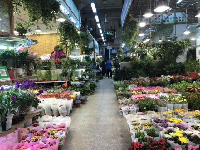 上述5個花鳥市場中,嵐靈花鳥市場距離地鐵站最近,步行時間為8分鐘左右