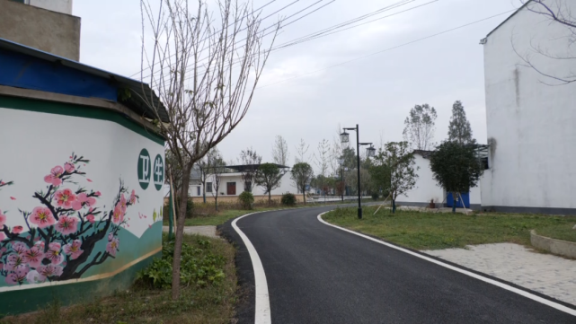 乡村振兴安陆巡店镇大坝村美丽乡村入画来