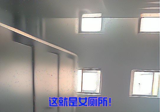 这就是女厕所武汉一高校女生吐槽厕所10个坑位保洁占6个