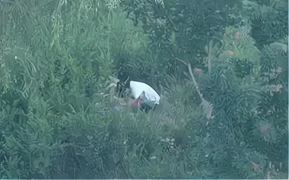 温州年轻男女"打野战"被抓!