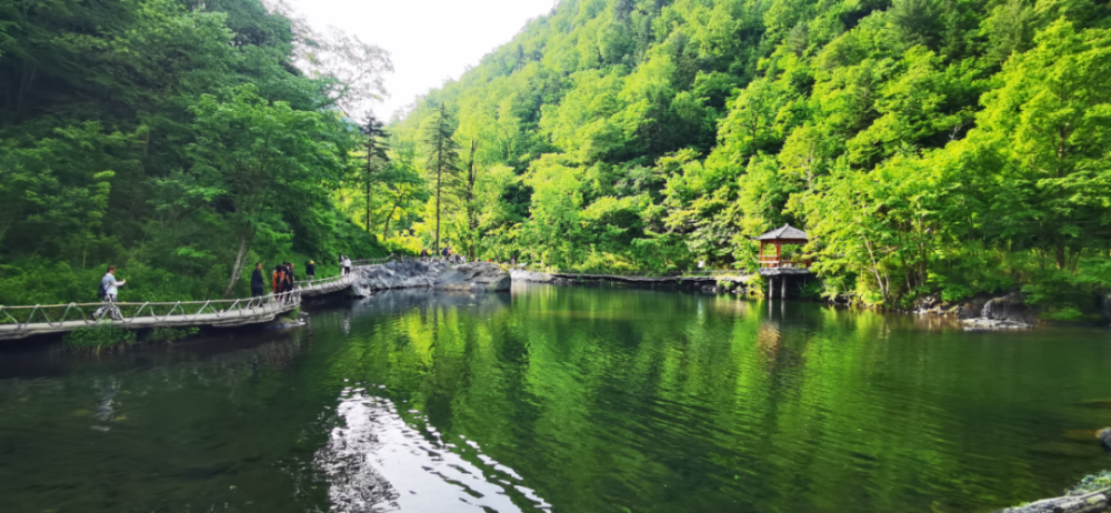 黑龙江林业报醉美四季凤凰山