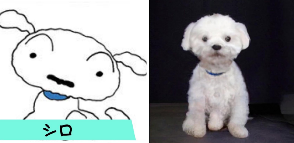 蜡笔小新 角色真人化 小爱果然很可爱 吉永老师颜值超高 腾讯新闻