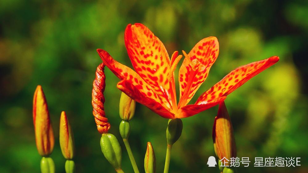 11月4日恋爱运势 暴露实心 甜美牵手的四年夜星座 慧敏星运 11月4日恋爱运势 暴露实心 甜美牵手的四年夜星座 慧敏星运