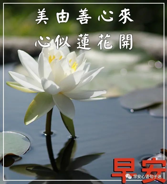 早上好精辟短句「早上好精辟短句免费」