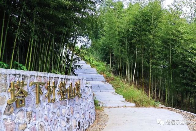 水秀,茶園遊步道景美卻少有人知|古村|剡溪|塔下村|茶園|寧波|三石村