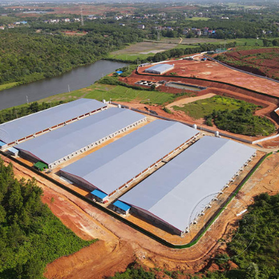 猪场建设过程中针对功能区域的规划设计是怎样的呢