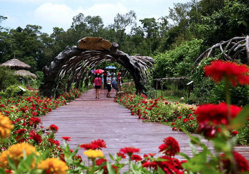 广西药用植物园(联)