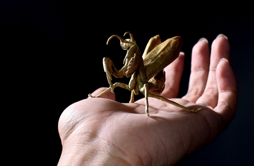 折纸天才秦坤不拼接不裁剪一张纸折出大千世界