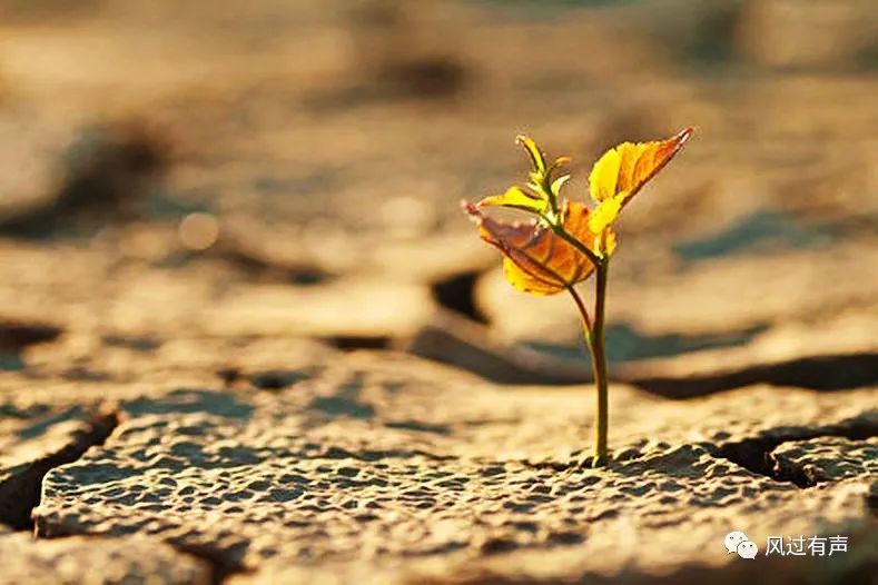 ϲзӵΨʫ_з_Ҳϲз