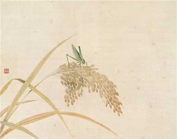 虫鸣是秋天的背景音乐—王太生