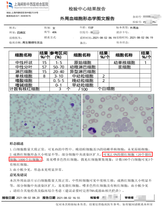 血涂片报告图片