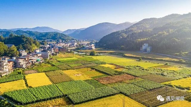 (大湖鄉大池村)