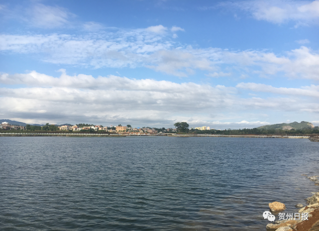 贺州金泰湖图片