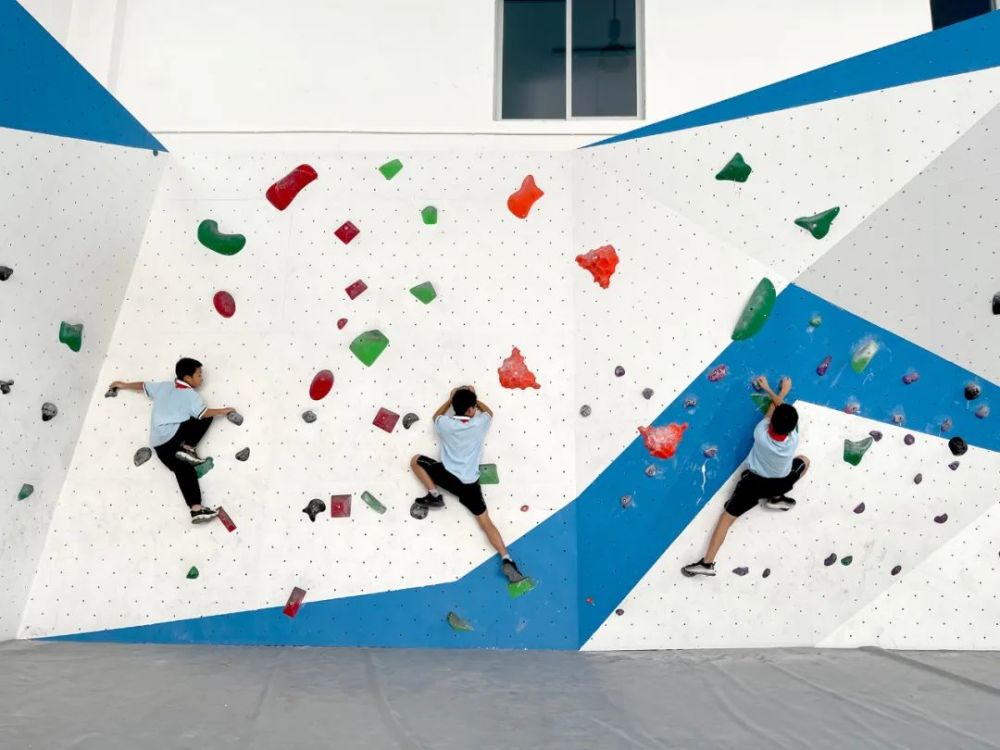 学生飞檐走壁乐清这所学校的体育课程太酷了