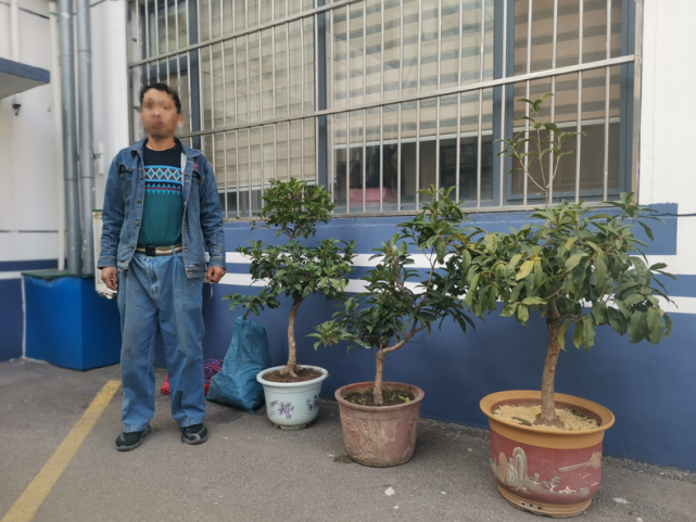 偷花贼太嚣张,一盆嫌单调又偷一盆,花盆不好再偷一盆