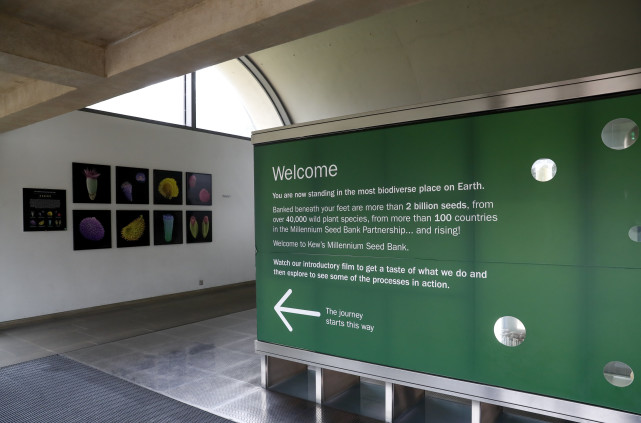 国际探访英国的千年种子库
