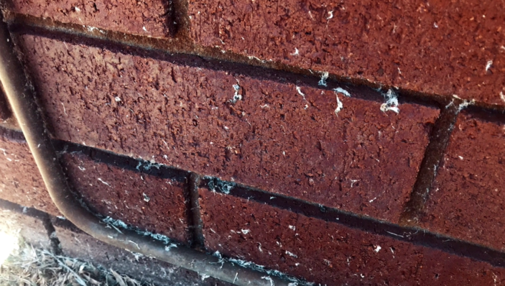 农村盖房常用的石棉瓦为什么被多国禁用它到底有什么危害