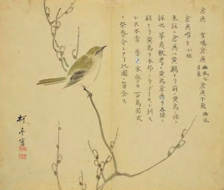 日本学者费劲编的诗经名物图解草木鸟兽鱼虫尽在其中还原了两千年的