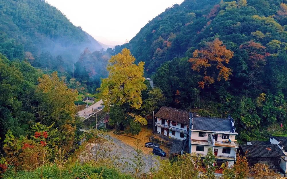 乡村振兴之黄山探索75岭脚村三张牌打出乡村新思路