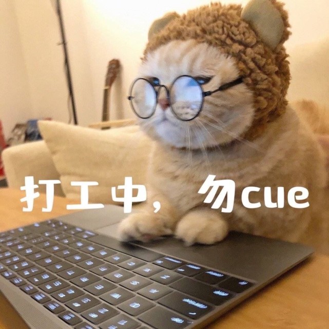 表情包|沙雕表情包 1625期