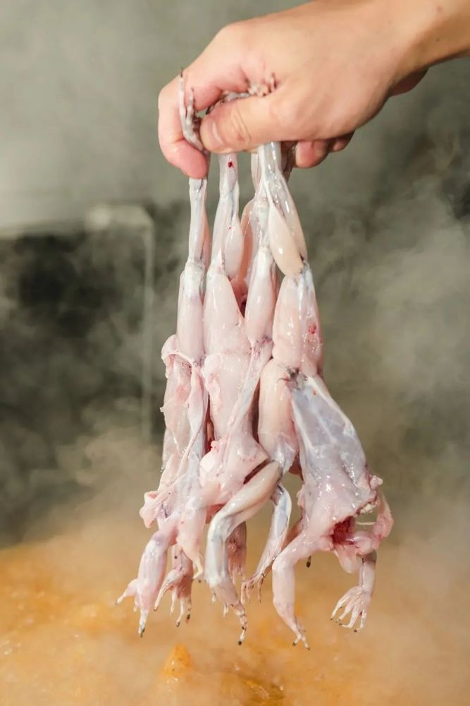 四方食事,不过一锅肥美蛙肉!_腾讯新闻