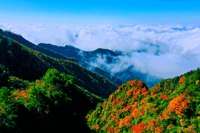 來源:四川巴山大峽谷 就在本週位於巴山大峽谷景區的羅盤頂已逐漸進入