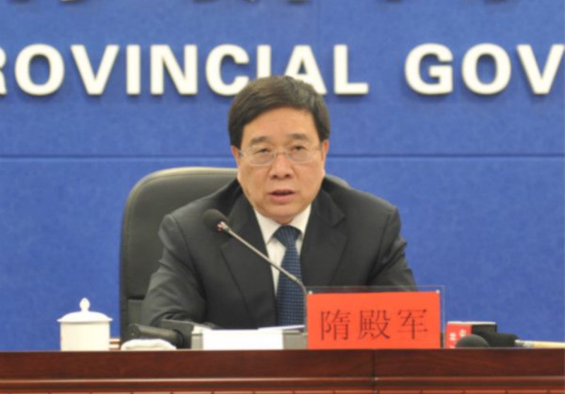 隋殿军早年是专业领域的专家.