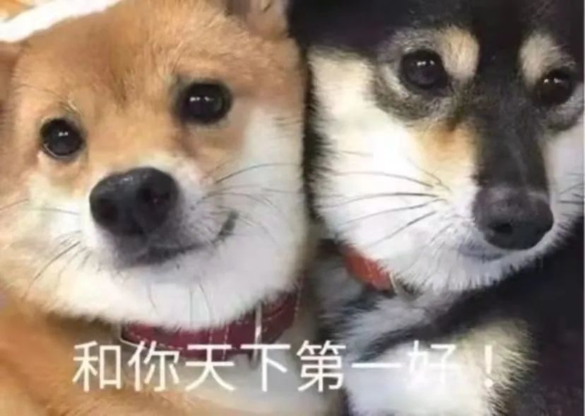 和你天下第一好姊妹情深两只狗狗表情包