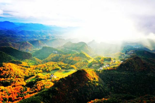 层林尽染,空中俯瞰曾家山红叶,美景超乎你的想象!