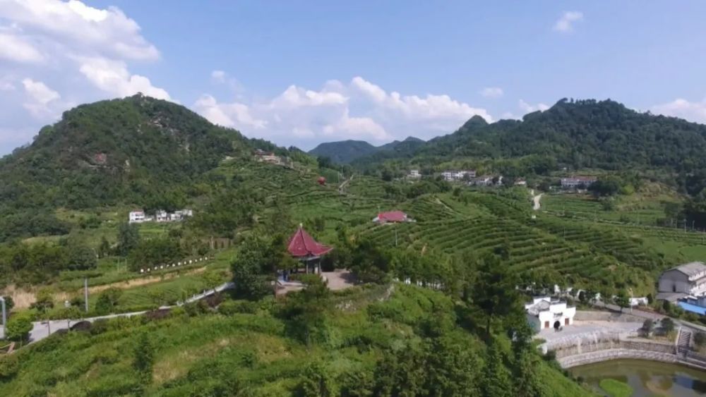 未来五年,蕲春农村将会大变样