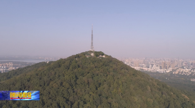 合肥大蜀山山顶图片