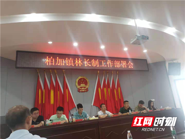 浏阳柏加镇推深做实"林长制"真正实现"林长治"