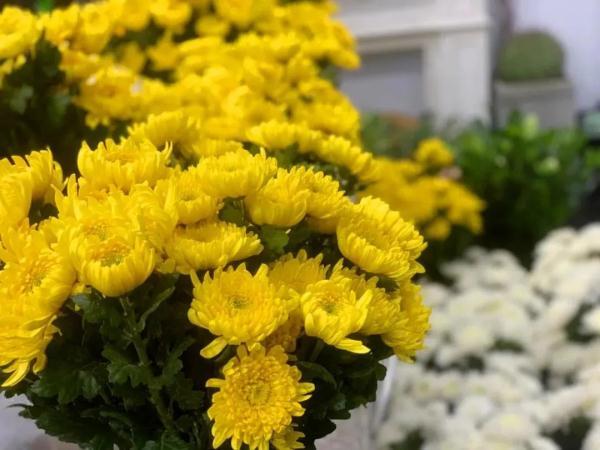 寒衣节祭扫 所有人员进入室内要全程佩戴口罩