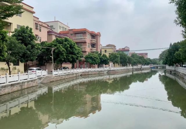 南庄镇杏头村被通报表扬并获奖励100万!